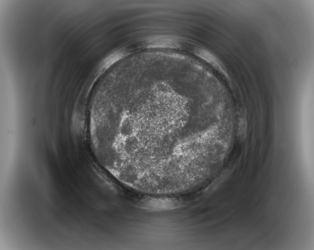 X0000083590882200703091717