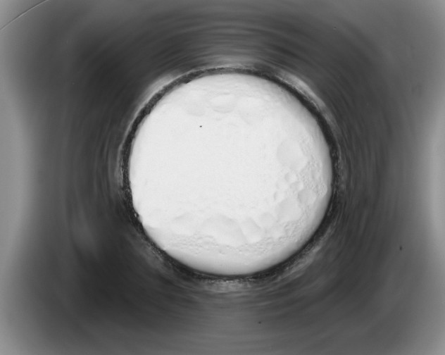 X0000083590883200703091717