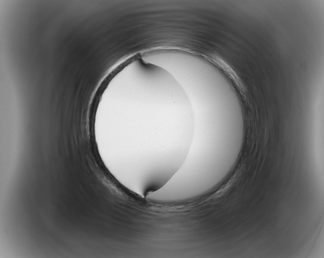X0000083590884200703091717