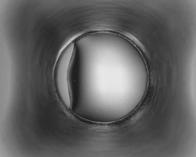 X0000083590885200703091717