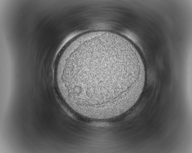 X0000083590886200703091717