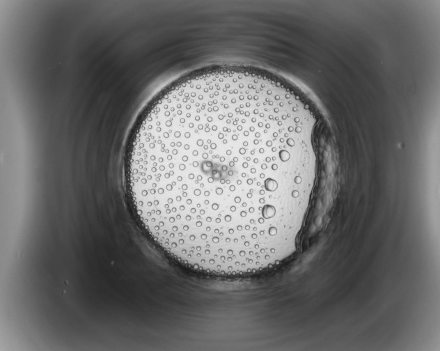 X0000083590887200703091717
