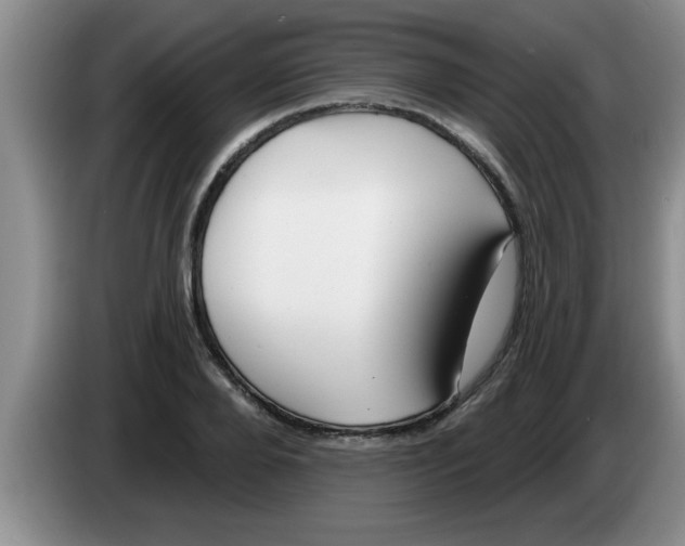 X0000083590888200703091717