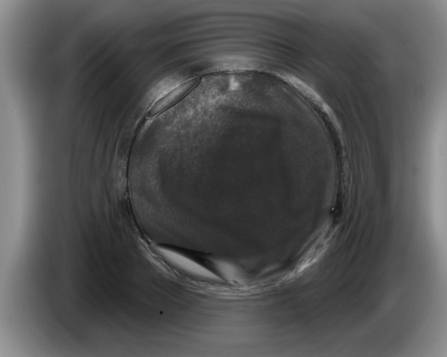 X0000083590889200703091717