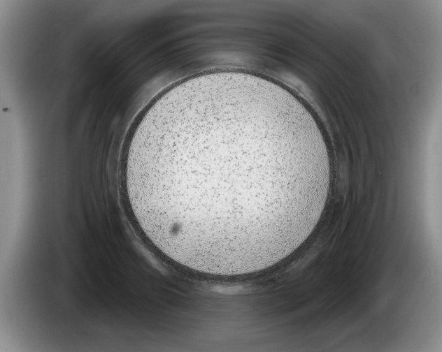 X0000083590890200703091717
