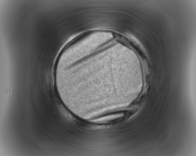 X0000083590892200703091717