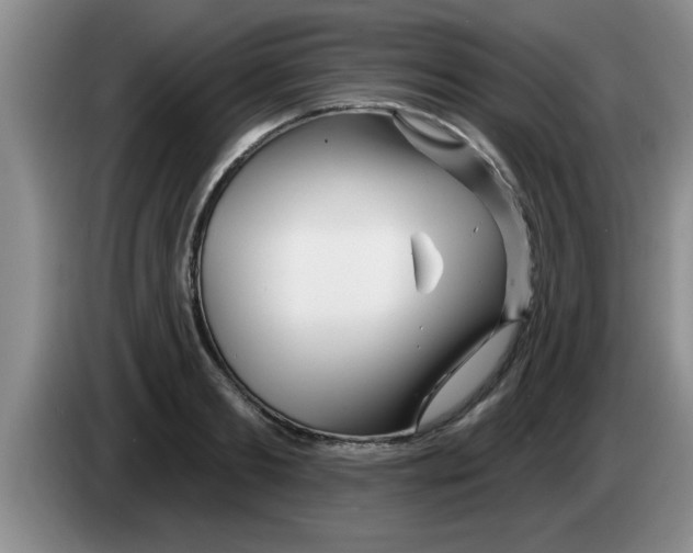 X0000083590893200703091717