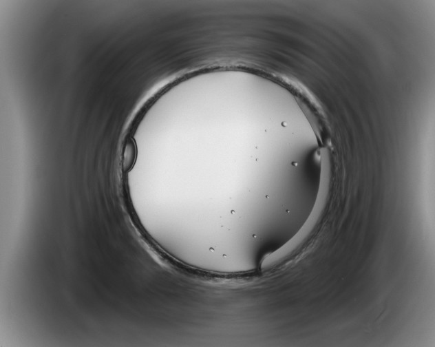 X0000083590894200703091717