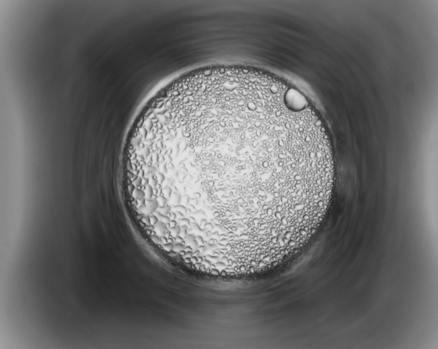 X0000083590895200703091717