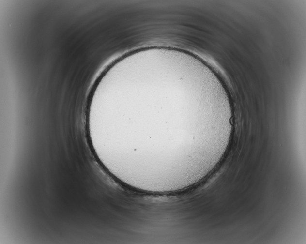 X0000083590896200703091717
