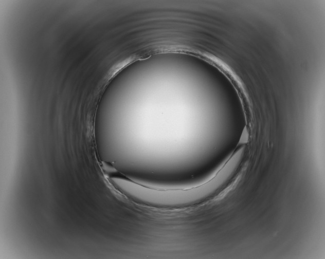 X0000083590897200703091717