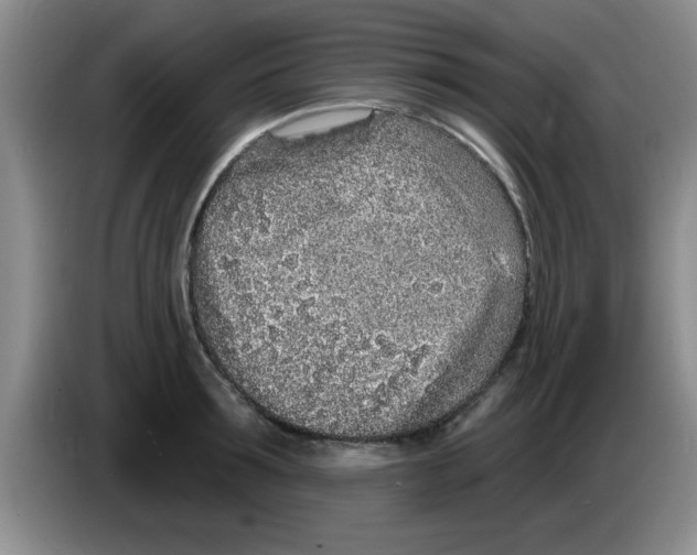 X0000083590899200703091717