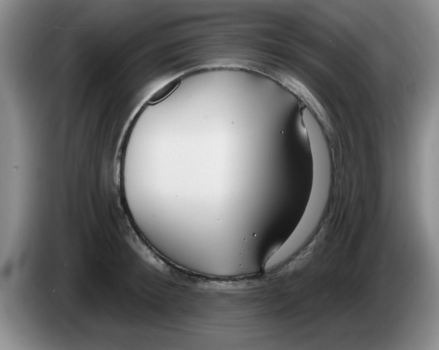 X0000083590900200703091717