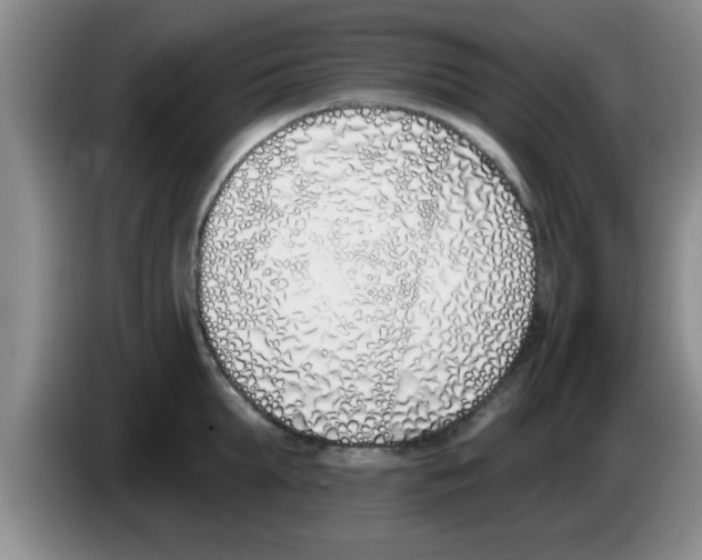 X0000083590903200703091717