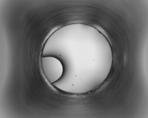 X0000083590906200703091716