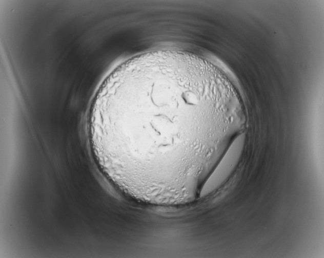 X0000083590907200703091716