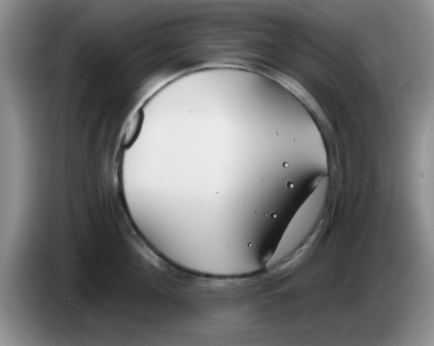 X0000083590908200703091716