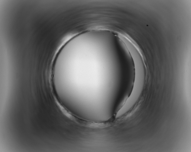X0000083590909200703091716