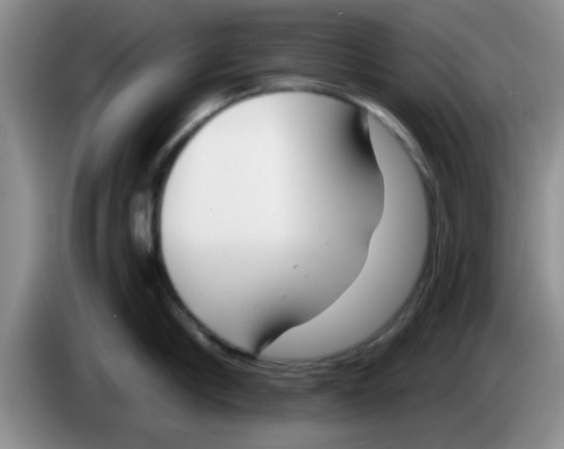 X0000083590910200703091716