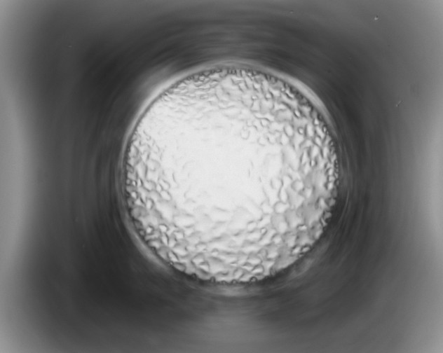 X0000083590911200703091716