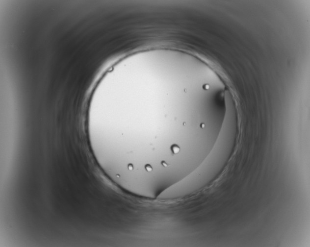 X0000083590912200703091716