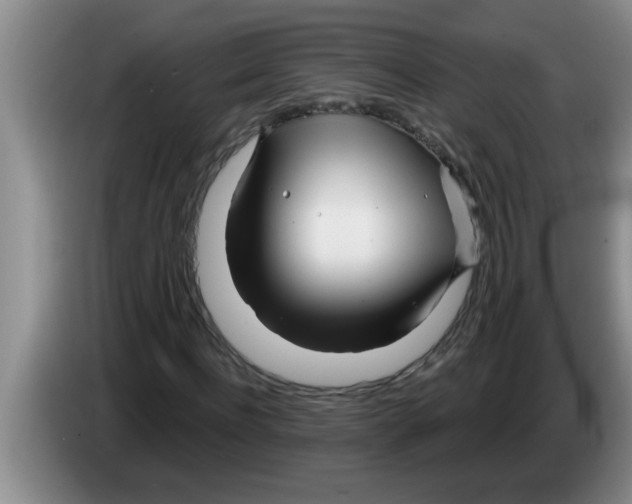 X0000083590916200703091716