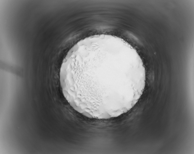 X0000083590917200703091716