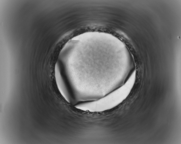 X0000083590919200703091716