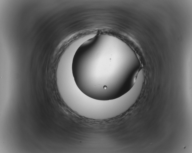 X0000083590920200703091716