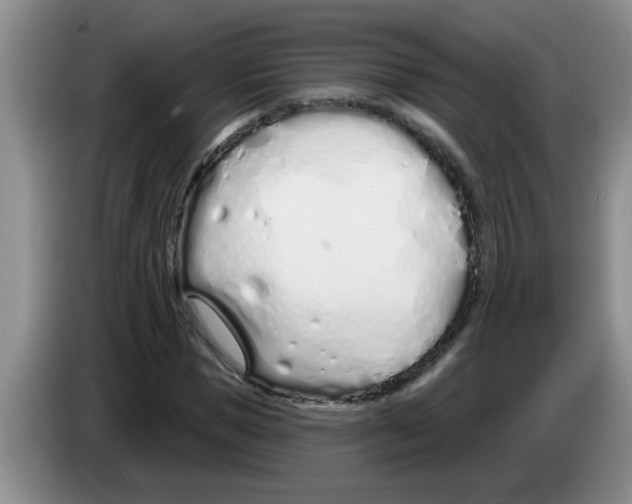 X0000083590921200703091716