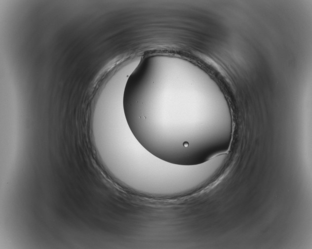 X0000083590922200703091716