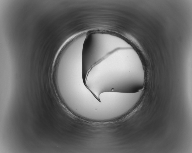X0000083590924200703091716