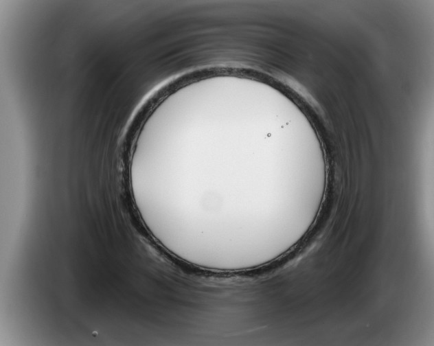 X0000083590926200703091716