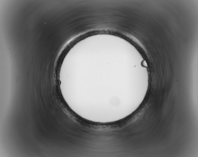 X0000083590927200703091716