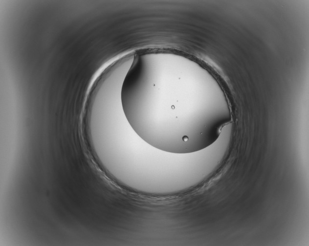 X0000083590928200703091716