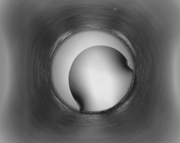 X0000083590930200703091716