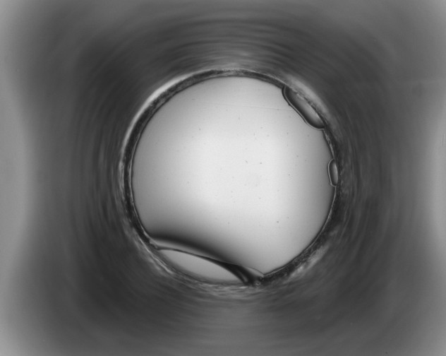X0000083590932200703091716