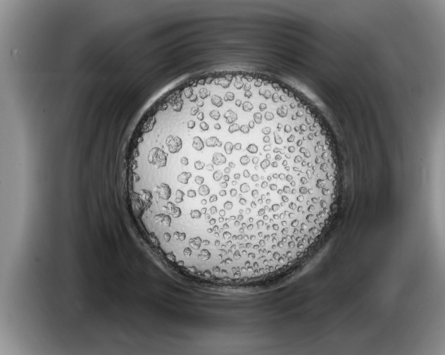 X0000083590933200703091716