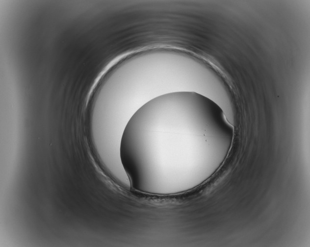 X0000083590934200703091716