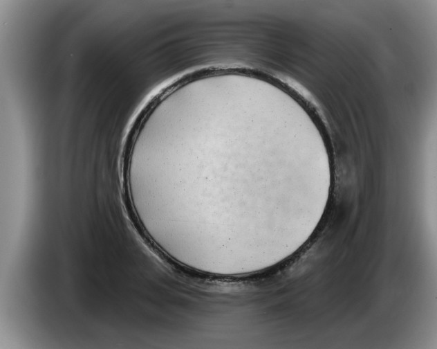 X0000083590935200703091716