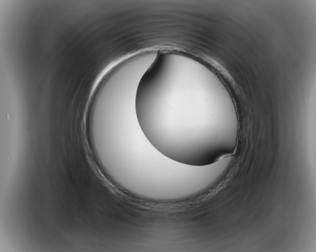 X0000083590936200703091716