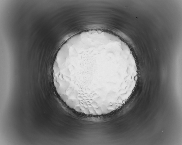 X0000083590937200703091716