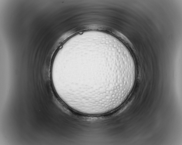 X0000083590938200703091716