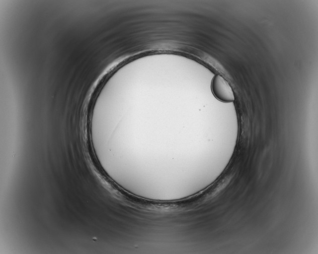 X0000083590939200703091716