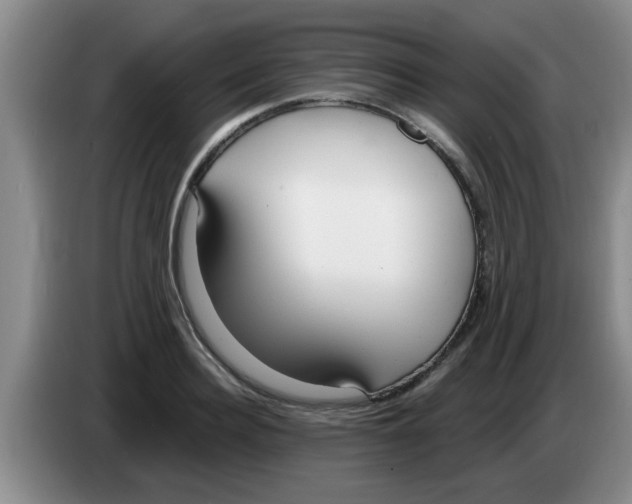 X0000083590940200703091716