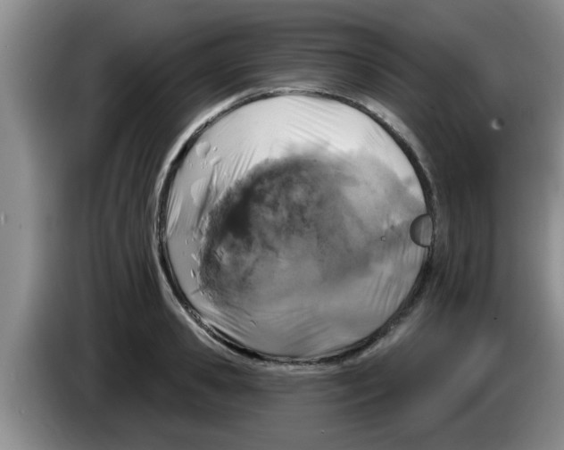 X0000083590941200703091716