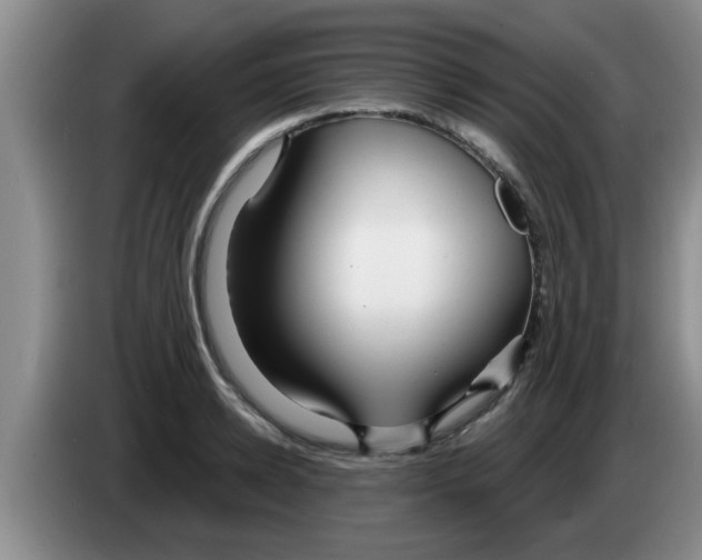 X0000083590942200703091716