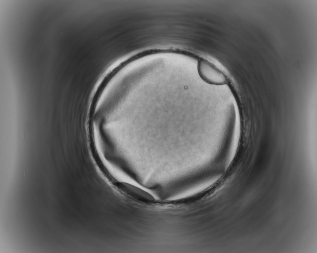 X0000083590943200703091716