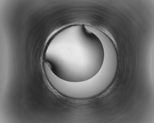 X0000083590944200703091716