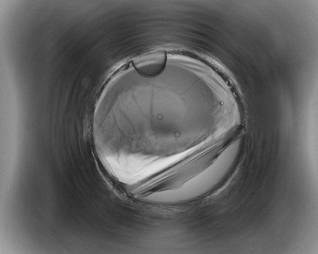 X0000083590945200703091716